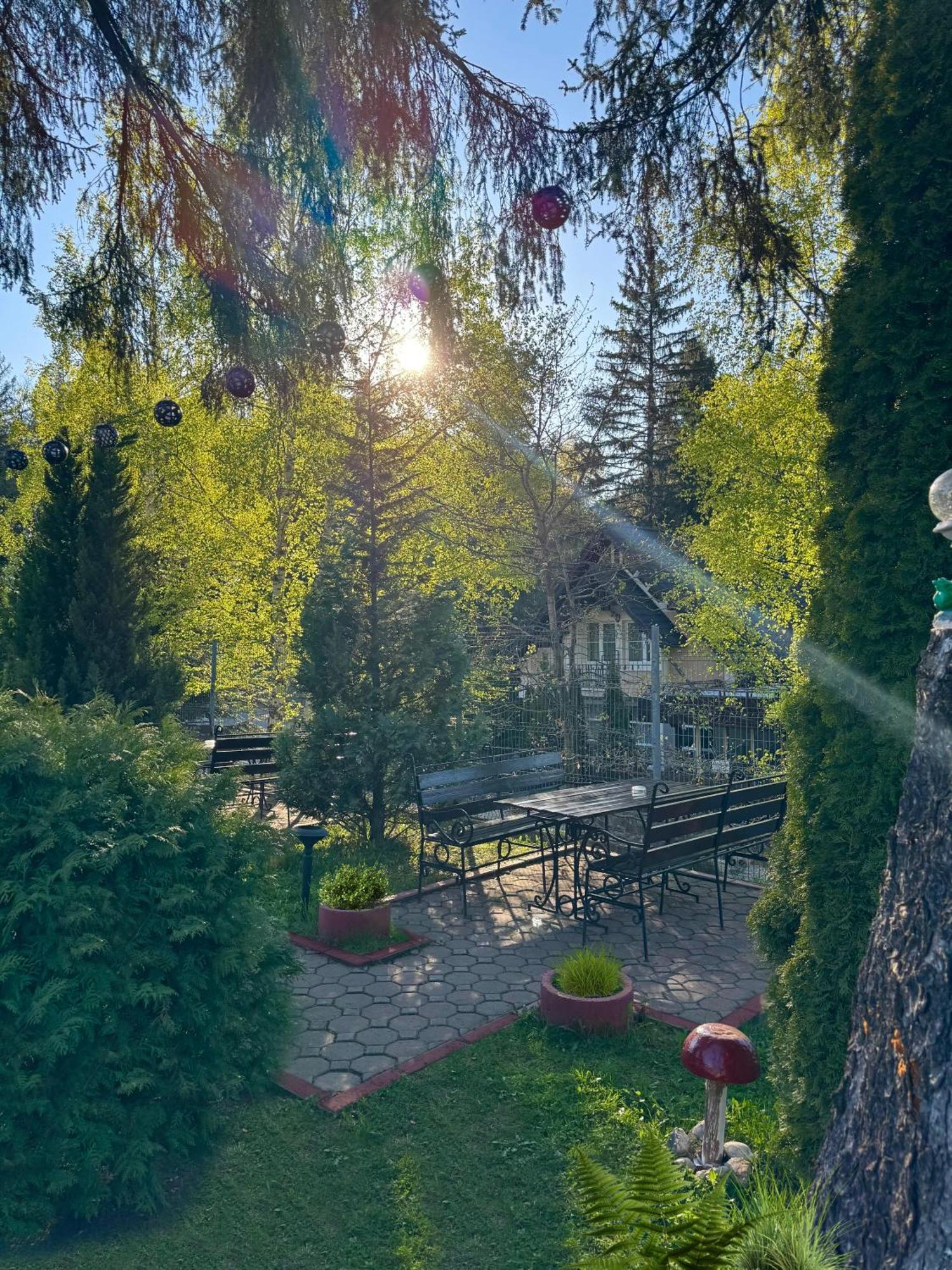 Hotel Piatra Mare Poiana Braşov Exterior foto